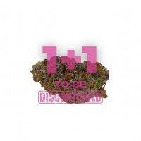 Growers Choice - Blue Dream Sherbet Autoflower