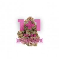 Growers Choice - Octane Fire Growers Choice - Octane Fire