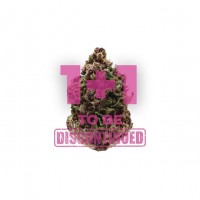 Growers Choice - Pink Magic Growers Choice - Pink Magic