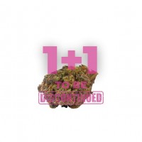 Growers Choice - Wifi Punch