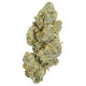 Growers Choice Cherry 7up Autoflower Limited Edition Cannabis Samen