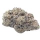 Growers Choice Cherry Zoap Autoflower Growers Choice Cherry Zoap Autoflower Cannabis Samen