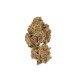 Growers Choice Lemon Cherry Mochi Autoflower Growers Choice Lemon Cherry Mochi Autoflower Cannabis Samen