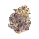 Cherry Mac Muffin Growers Choice Seeds Cherry Mac Muffin cannabis strain with crystal covered buds by Growers Choice