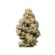 Growers Choice MAC N Cheese Limited Edition Growers Choice MAC N Cheese Limited Edition cannabis seeds
