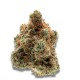 Growers Choice Monkey Glue Growers Choice Monkey Glue cannabis seeds