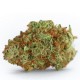 Growers Choice Monsterbud Growers Choice Monsterbud kannabiszmag
