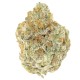 Growers Choice Permanent Whitemarker Growers Choice Permanent Whitemarker kannabiszmag