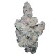 Growers Choice Superboof Growers Choice Superboof cannabis seeds