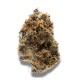 Growers Choice Watermelon Punch kannabiszmag
