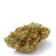 White Fire OG Growers Choice Growers Choice White Fire OG kannabisz magok
