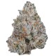 White Truffle Limited Edition Growers Choice Growers Choice White Truffle Limited Edition kannabisz magok