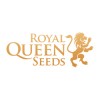 Royal Queen Seeds