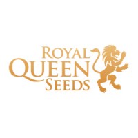 Royal Queen Seeds