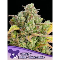 Anesia Seeds-Honey Fried Bananas