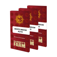 Barney's Farm - White Widow (Autoflowering)