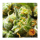 Barney's Farm - Acapulco Gold (Feminizált) kannabis mag