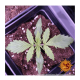 Barney's Farm - Amnesia Lemon (Feminizált) kannabis mag