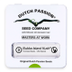 Dutch Passion - Bubba Island Kush (Feminized) cannabis seeds