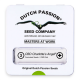 Dutch Passion - CBD Charlotte's Angel (Feminizált) kannabis mag