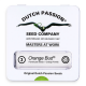 Dutch Passion - Orange Bud (Feminizált) kannabis mag