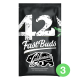 Fast Buds Seeds - Californian Snow (Autoflowering) kannabis mag