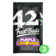 Fast Buds Seeds - Purple Lemonade (Autoflowering) kannabis mag