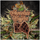 Paradise Seeds - Chocolate Wafflez (Feminizált) kannabis mag