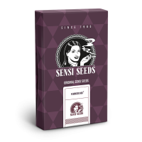 Sensi Seeds - Fem Mix (Feminizált) | 5 darab