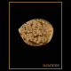 Silent Seeds - Critical Mango (Feminized) cannabis seeds
