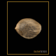 Silent Seeds - OG Kush (Feminizált) kannabis mag