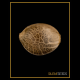 Silent Seeds - Starfire OG (Feminizált) kannabis mag
