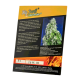 Sweet Seeds - Big Devil F1 Fast Version (Feminized) kannabis mag
