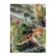 Sweet Seeds - Black Jack CBD (Feminized) kannabis mag