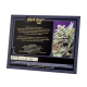 Sweet Seeds - Black Jack (Autoflowering) kannabis mag