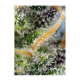 Sweet Seeds - Cream Caramel CBD (Feminized) kannabis mag