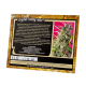 Sweet Seeds - Crystal Candy (Autoflowering) kannabis mag