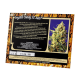 Sweet Seeds - Crystal Candy XL (Autoflowering) cannabis seeds