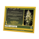 Sweet Seeds - Fast Bud#2 (Autoflowering) kannabis mag