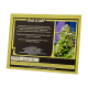 Sweet Seeds - Jack 47 (Autoflowering) kannabis mag