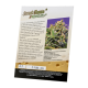 Sweet Seeds - Sweet Cheese F1 Fast Version (Feminizált) kannabis mag