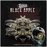 T.H. Seeds - Black Apple Hitchcock (Feminizált)