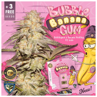 T.H. Seeds - BubbleBananaGum 710 (Feminizált)