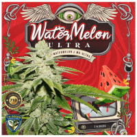 T.H. Seeds - Watermelon Ultra 710 (Feminizált)