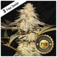 T.H. Seeds - BubbleBananaGum 710 (Feminizált) kannabis mag