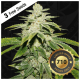 T.H. Seeds - Watermelon Ultra 710 (Feminizált) kannabis mag